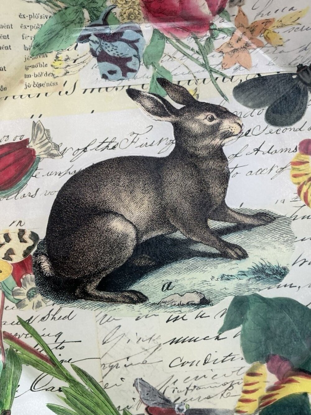 John Derian Rabbit Botanical Octagon Plates Pair Easter Decoupage Glass 10" - Picture 7 of 12